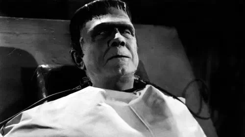 assets/bela-lugosi-as-frankenstein-s-monster.jpeg