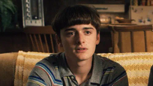 assets/noah-schnapp-in-stranger-things.jpeg