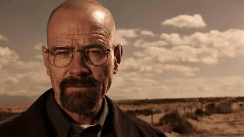 assets/bryan-cranston-in-breaking-bad.jpeg