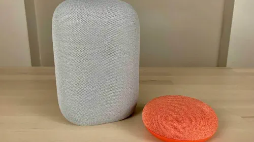 assets/Google-Nest-speakers.jpeg