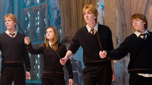 assets/the-weasleys-in-harry-potter-and-the-order-of-the-phoenix.jpeg