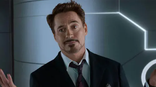 assets/robert-downey-jr-as-tony-stark.jpeg