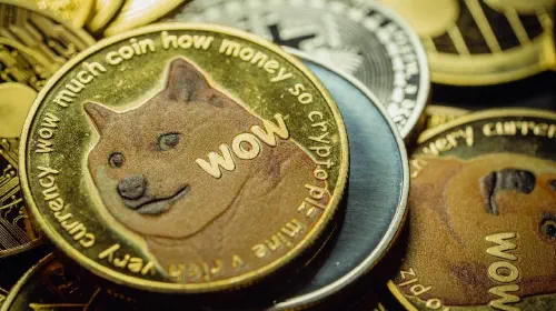 assets/elon-musk-dogecoin.jpeg
