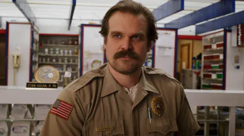 assets/david-harbour-as-jim-hopper-in-stranger-things.jpeg