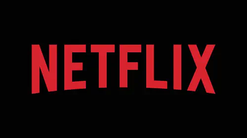 assets/netflix-logo.jpeg