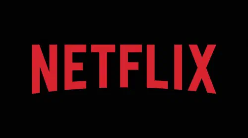 assets/netflix-logo.jpeg