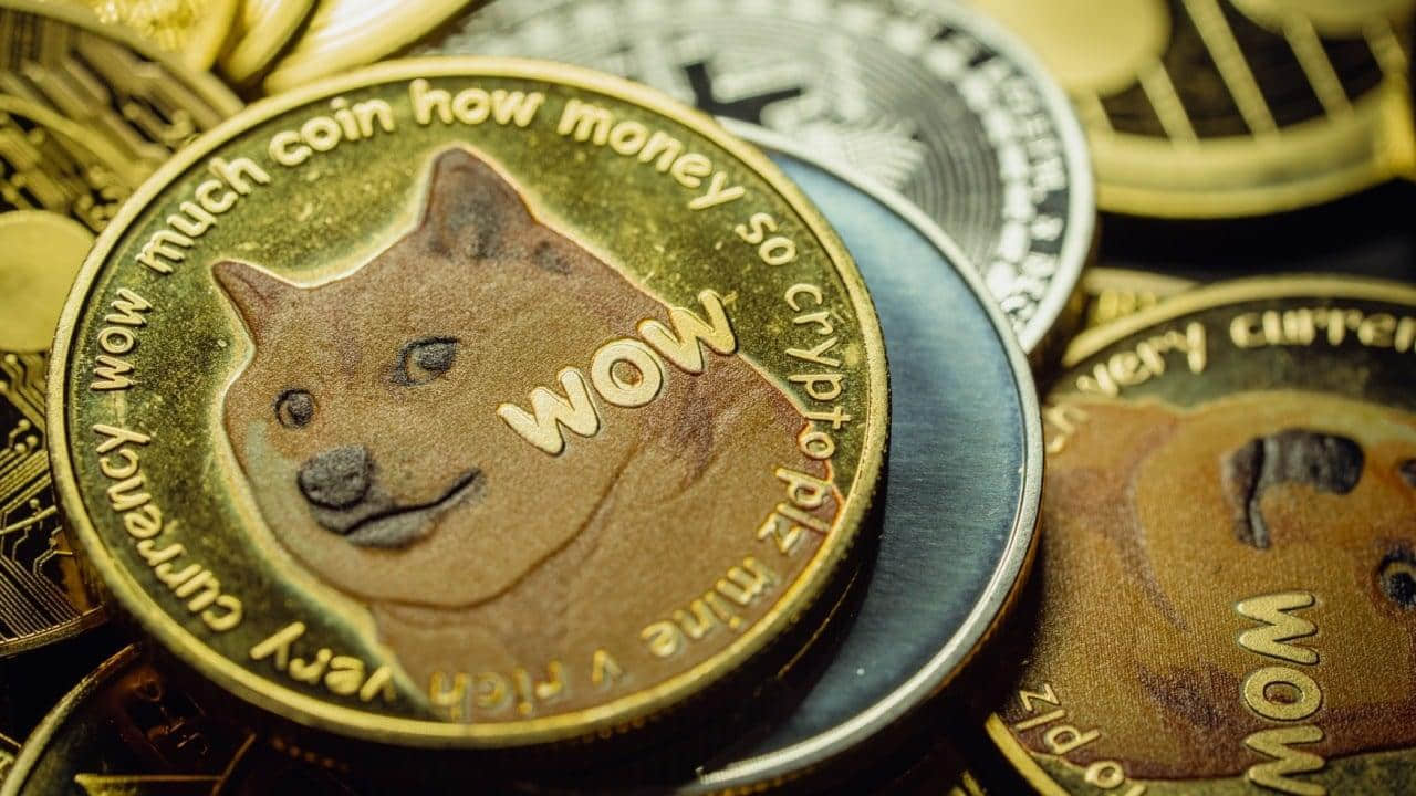 elon-musk-dogecoin