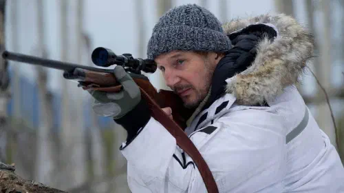 assets/liam-neeson-action-survival-thriller-the-grey-stream-free-pluto-tv-december-2025.jpeg