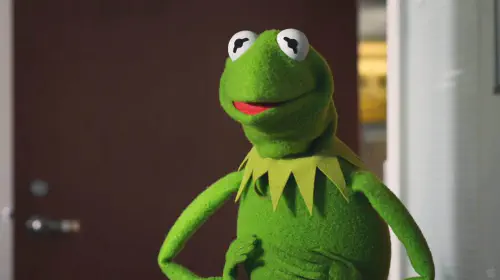 assets/kermit-the-frog-in-the-muppets.jpeg