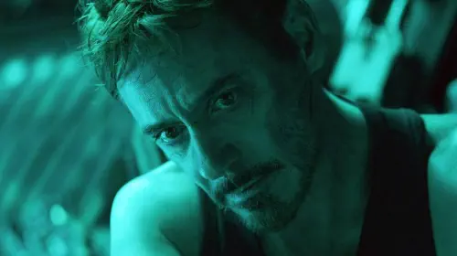 assets/robert-downey-jr-in-avengers_-endgame.jpeg