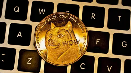 assets/dogecoin.jpeg