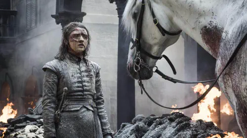 assets/arya-standing-next-to-a-horse-in-game-of-thrones-season-8.jpeg