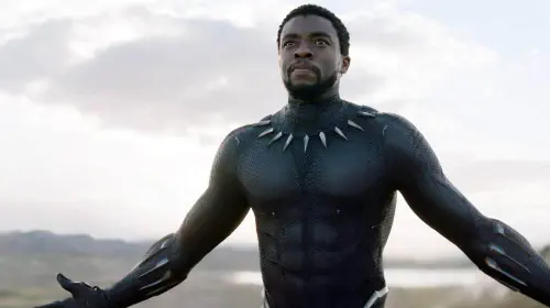 assets/black-panther-2018.jpeg