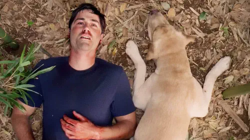 assets/jack-and-the-dog-in-lost-series-finale.jpeg