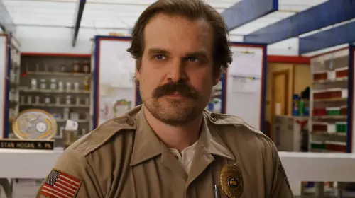 assets/david-harbour-in-stranger-things.jpeg