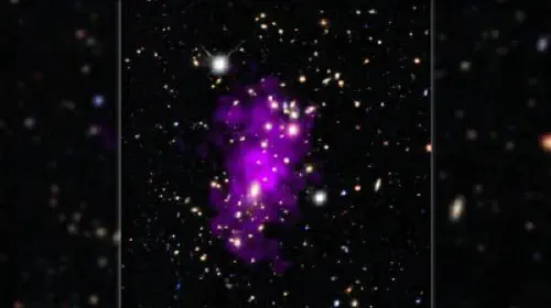 assets/chandra-champagne-cluster.jpeg