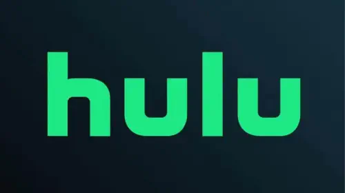 assets/hulu-logo-close-up-1.jpeg