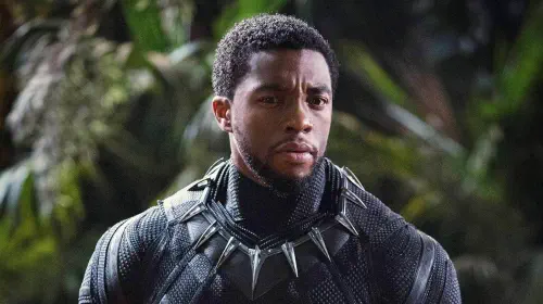 assets/chadwick-boseman-black-panther.jpeg