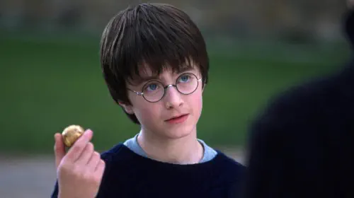 assets/daniel-radcliffe-in-harry-potter.jpeg