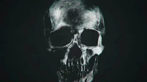 assets/a-skull-from-the-faces-of-death-2026-teaser-trailer.jpeg