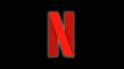 assets/netflix-logo.jpeg