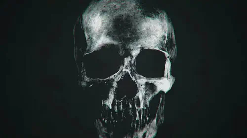 assets/a-skull-from-the-faces-of-death-2026-teaser-trailer.jpeg