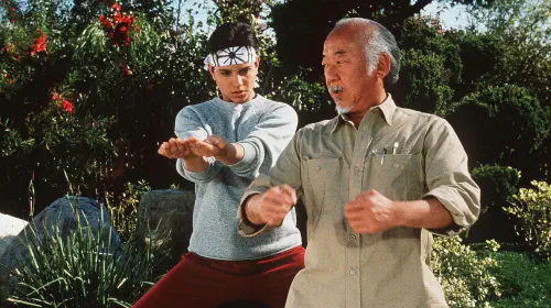 assets/the-karate-kid_t6xjfs-1.jpeg