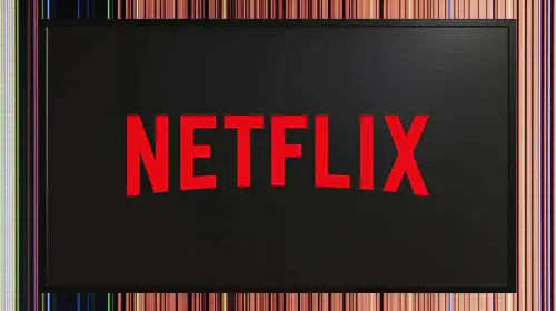 assets/netflix-logo-streaming.jpeg