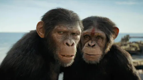 assets/kingdom-of-the-planet-of-the-apes.jpeg