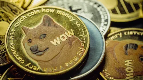 assets/elon-musk-dogecoin.jpeg