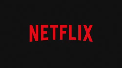 assets/netflix-logo.jpeg