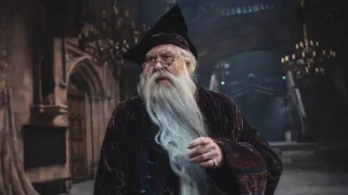 assets/dumbledore-hbo-harry-potter-reboot-philosopher-s-stone-streaming-success-hbo-max.jpeg