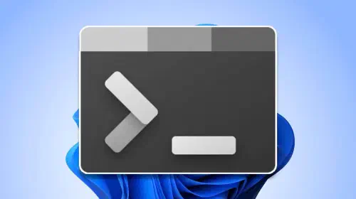 assets/Windows-Terminal-icon-on-Windows-11-background.jpeg