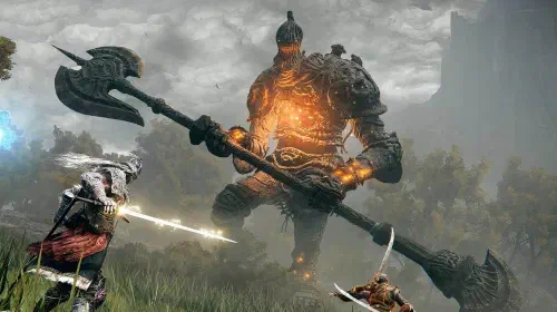 assets/elden-ring-boss-fight.jpeg