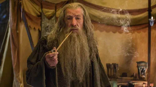 assets/ian-mckellen-as-gandalf-smoking-a-pipe-in-the-hobbit-the-battle-of-five-armies.jpeg