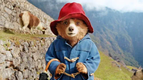 assets/paddington.jpeg