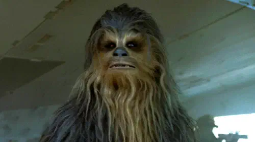 assets/joonas-suotano-s-chewbacca-looking-in-thought-under-the-millennium-falcon-in-solo-a-star-wars-story.jpeg