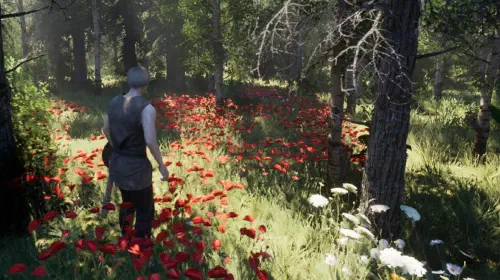 assets/game-bread-and-blood-with-character-standing-in-a-field-of-flowers-in-a-forest.jpeg