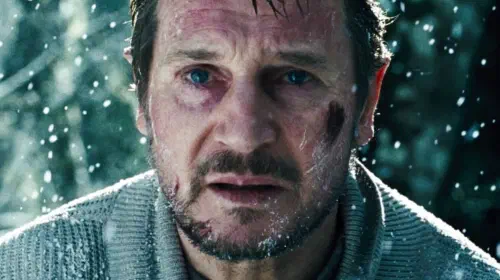 assets/liam-neeson-in-the-grey.jpeg