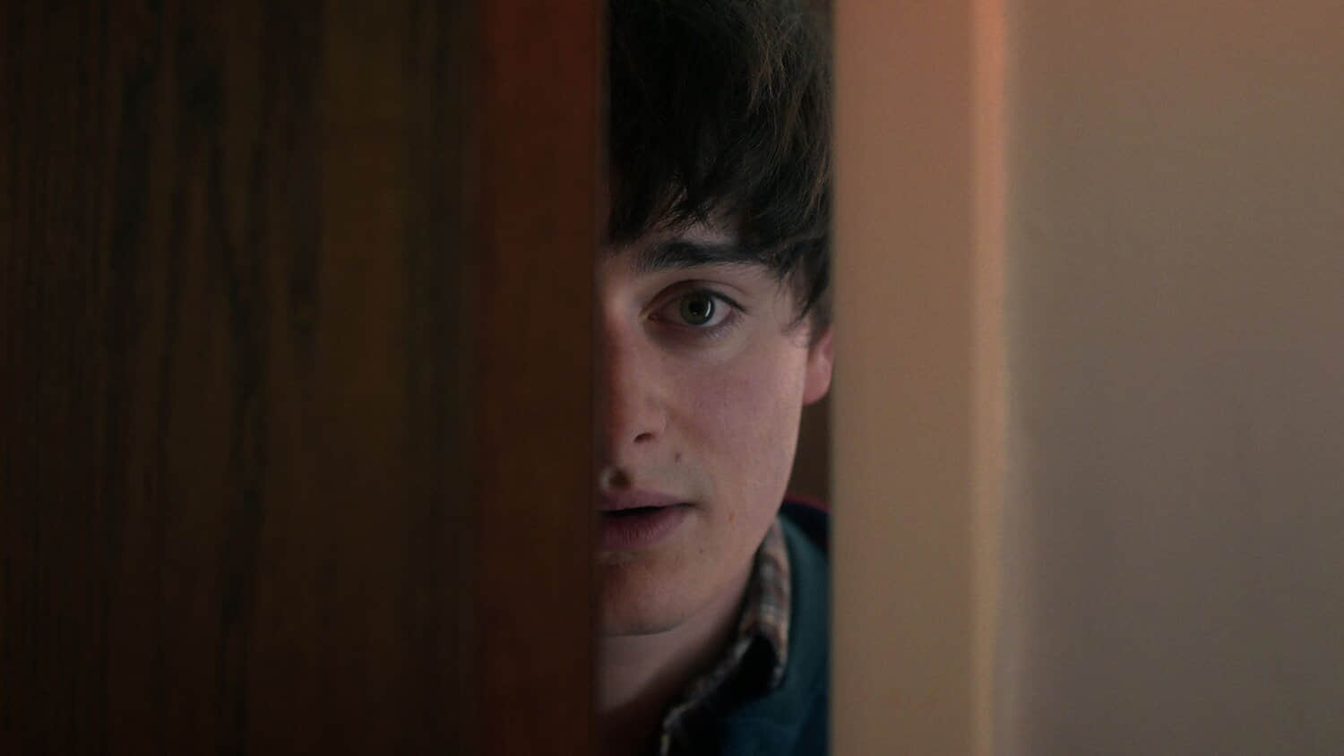 stranger-things-will-behind-a-door-in-season-5.jpeg