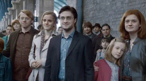 assets/harry-potter-and-the-deathly-hallows-part-2.jpeg