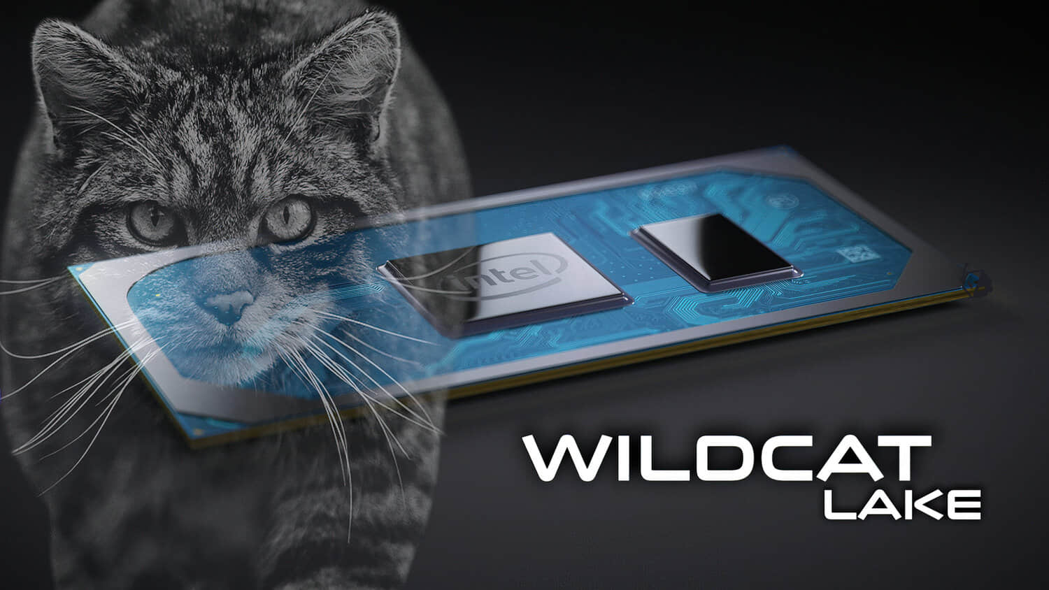 Intel-Wildcat-Lake-CPUs.jpeg