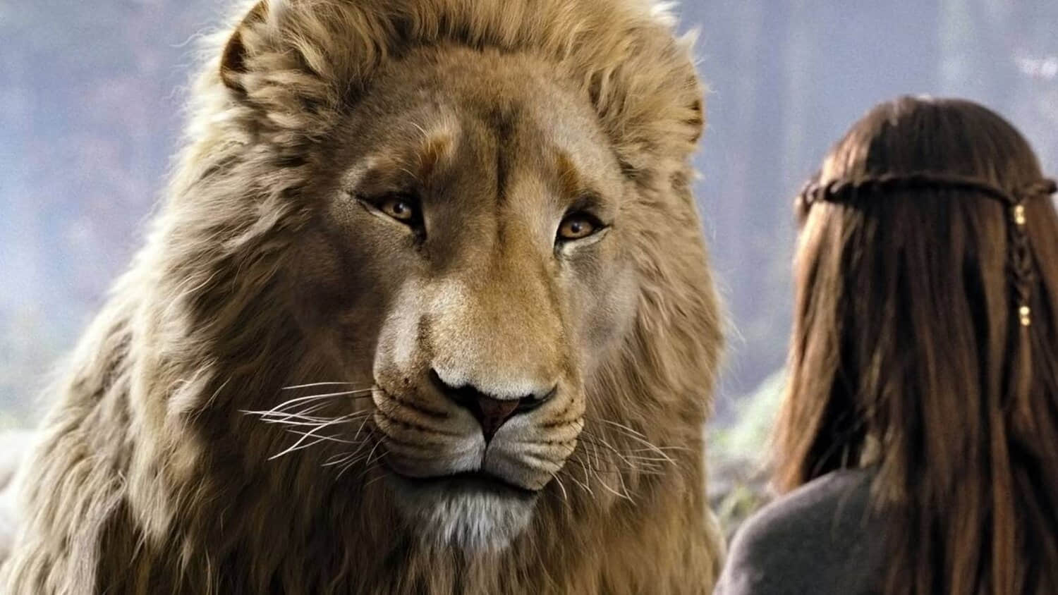 chronicles-of-narnia-lion-witch-wardrobe-aslan.jpeg