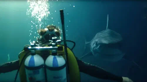 assets/diver-facing-a-shark-in-under-paris.jpeg