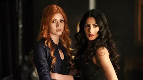assets/shadowhunters.jpeg