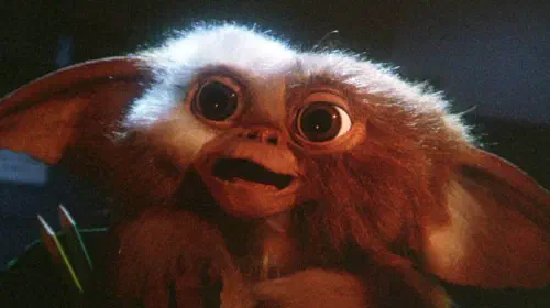 assets/gremlins-1.jpeg