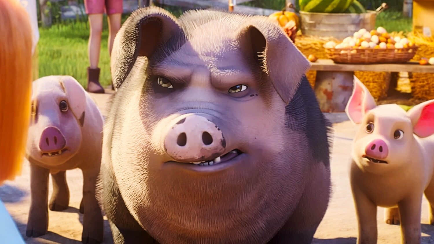 an-older-pig-interacting-with-a-human-in-animal-farm.jpeg