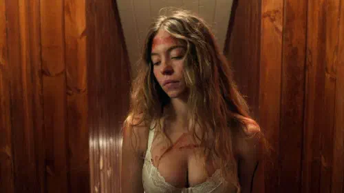 assets/sydney-sweeney-the-housemaid-streaming-starz-r-rated-thriller.jpeg