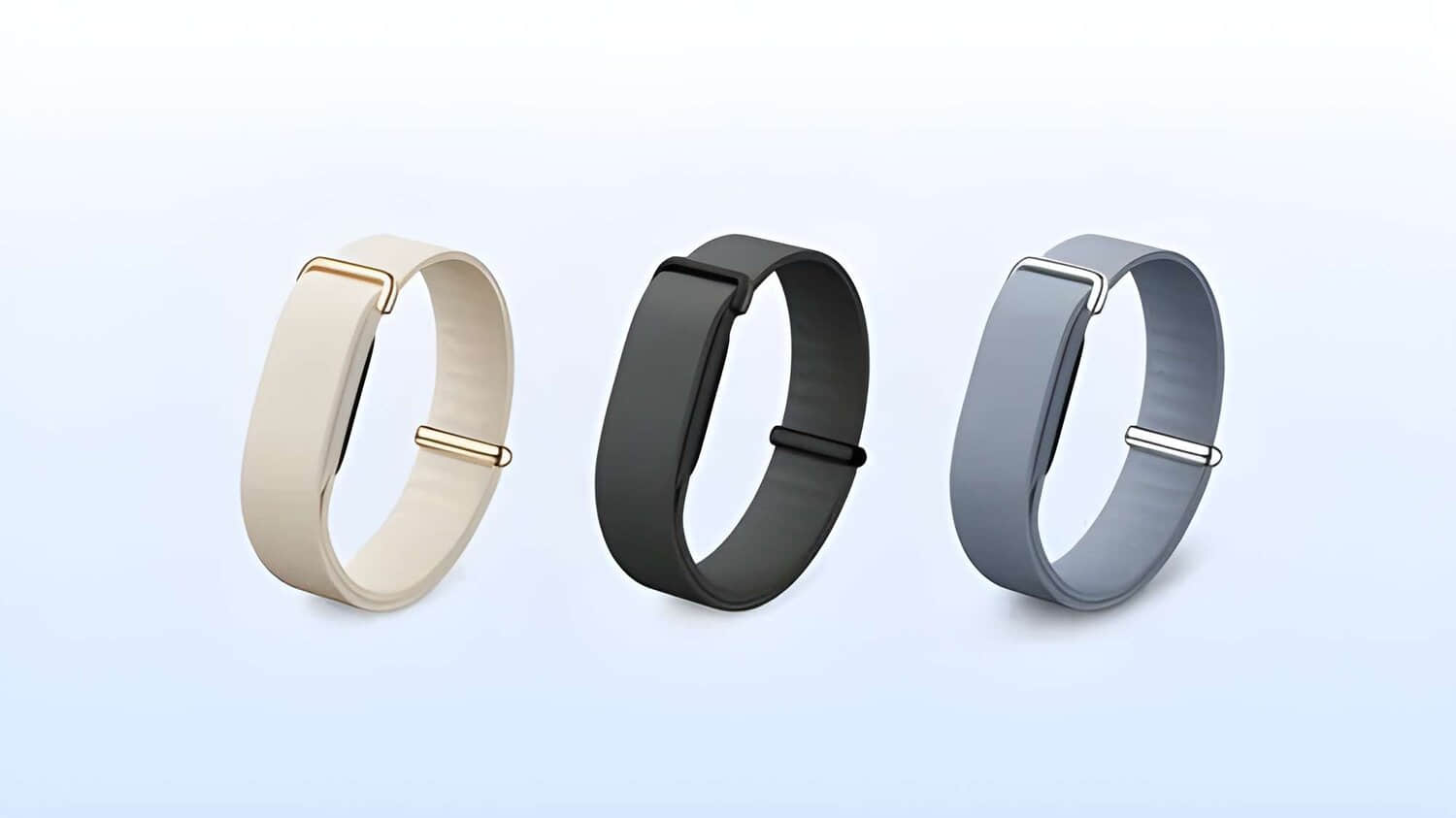 Google-Health-Fitbit-Air.jpeg