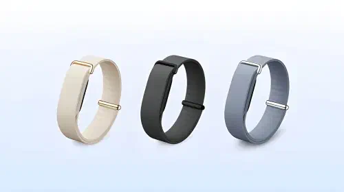 assets/Google-Health-Fitbit-Air.jpeg